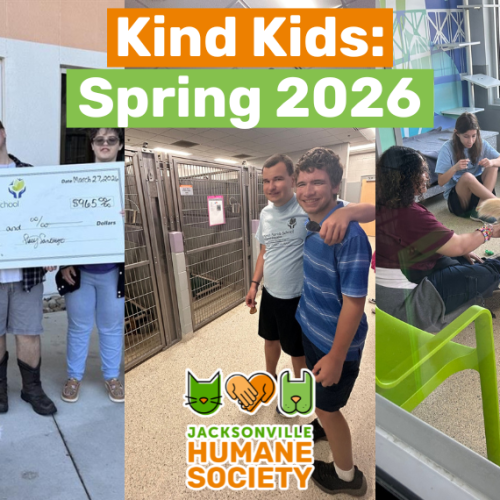 Kind Kid Banner Spring NFSSE Junior Civitan Club Kind Kid Banner Spring NFSSE Junior Civitan Club