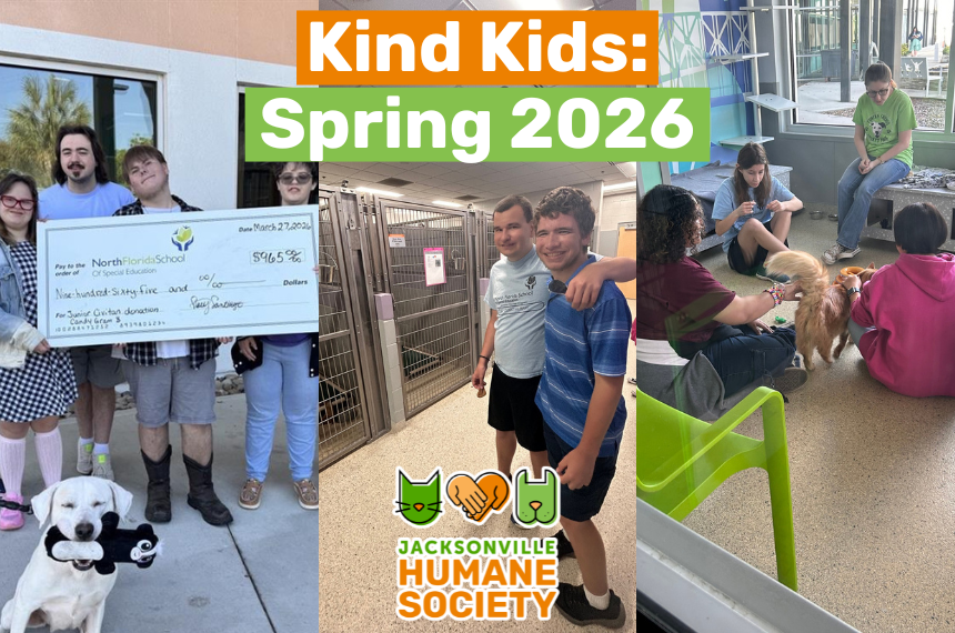 Kind Kid Banner Spring NFSSE Junior Civitan Club