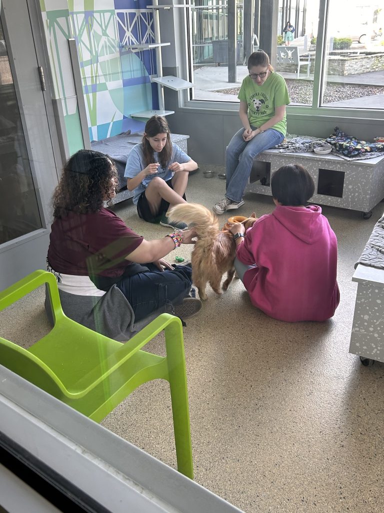 NFSSE Junior Civitan Club Junior Civitan Club meeting a cat