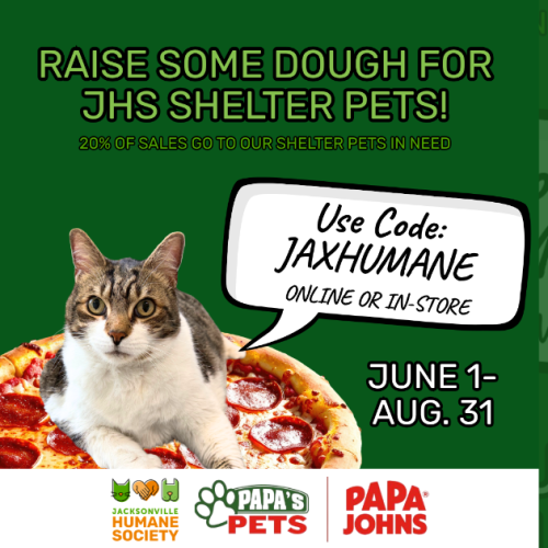 A green promotional graphic featuring a tabby-and-white cat lounging on top of a pepperoni pizza. Large text at the top reads, “Raise Some Dough for JHS Shelter Pets!” with smaller text underneath stating that 20% of sales go to shelter pets in need. A speech bubble next to the cat says, “Use Code: JAXHUMANE online or in-store.” The dates “June 1 – Aug. 31” appear on the right side. Along the bottom are the logos for Jacksonville Humane Society, Papa’s Pets, and Papa Johns.