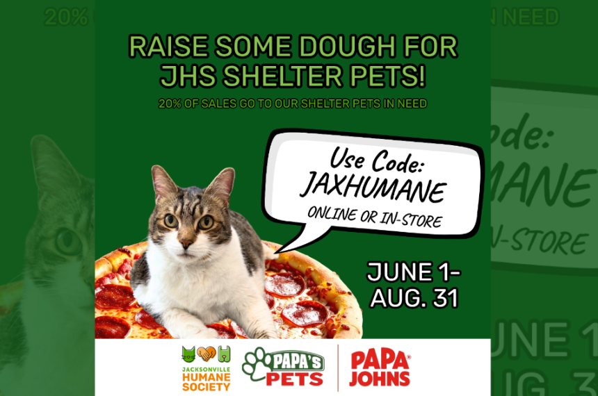Papa Johns Blog Cover A green promotional graphic featuring a tabby-and-white cat lounging on top of a pepperoni pizza. Large text at the top reads, “Raise Some Dough for JHS Shelter Pets!” with smaller text underneath stating that 20% of sales go to shelter pets in need. A speech bubble next to the cat says, “Use Code: JAXHUMANE online or in-store.” The dates “June 1 – Aug. 31” appear on the right side. Along the bottom are the logos for Jacksonville Humane Society, Papa’s Pets, and Papa Johns.