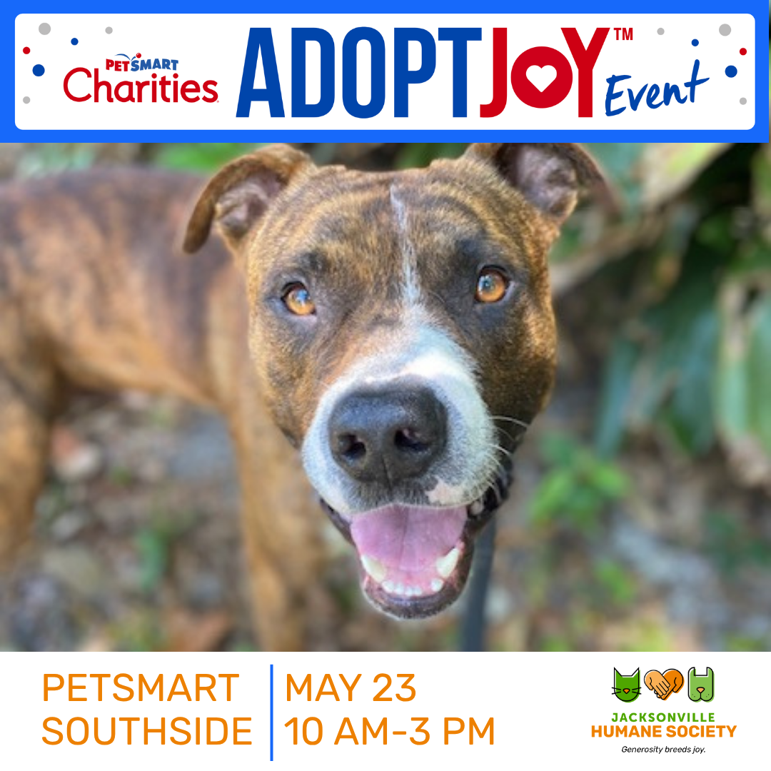 PetSmart ()