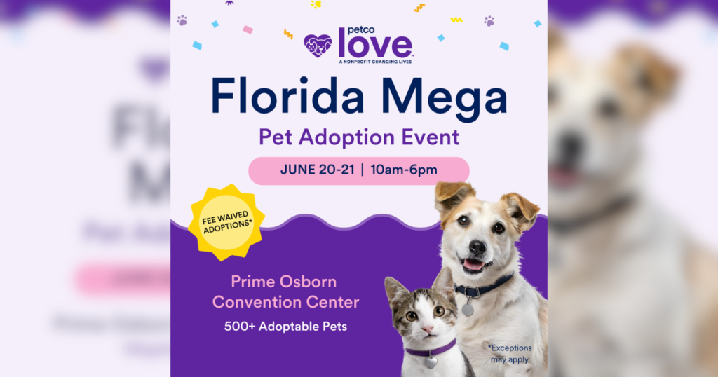 Promotional graphic for the Petco Love Florida Mega Pet Adoption Event. The graphic features a smiling tan-and-white dog and a tabby-and-white cat wearing a purple collar on the right side. Text reads: 