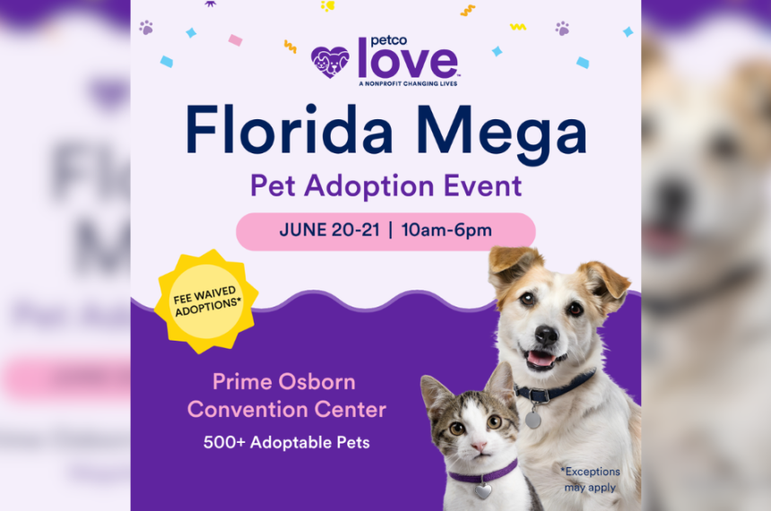 Promotional graphic for the Petco Love Florida Mega Pet Adoption Event. The graphic features a smiling tan-and-white dog and a tabby-and-white cat wearing a purple collar on the right side. Text reads: "Florida Mega Pet Adoption Event" with the Petco Love logo at the top. A yellow sunburst highlights "Fee Waived Adoptions*" and event details state: "June 20-21 | 10 a.m.-6 p.m." at the Prime Osborn Convention Center. The website MegaAdoptFlorida.com appears at the bottom, along with a note that exceptions may apply. The background is light purple with colorful confetti and paw print accents.