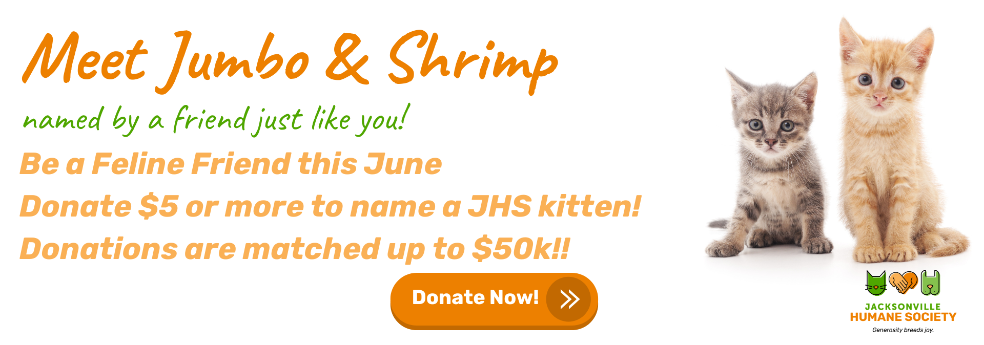 Pop Up Templates ()
