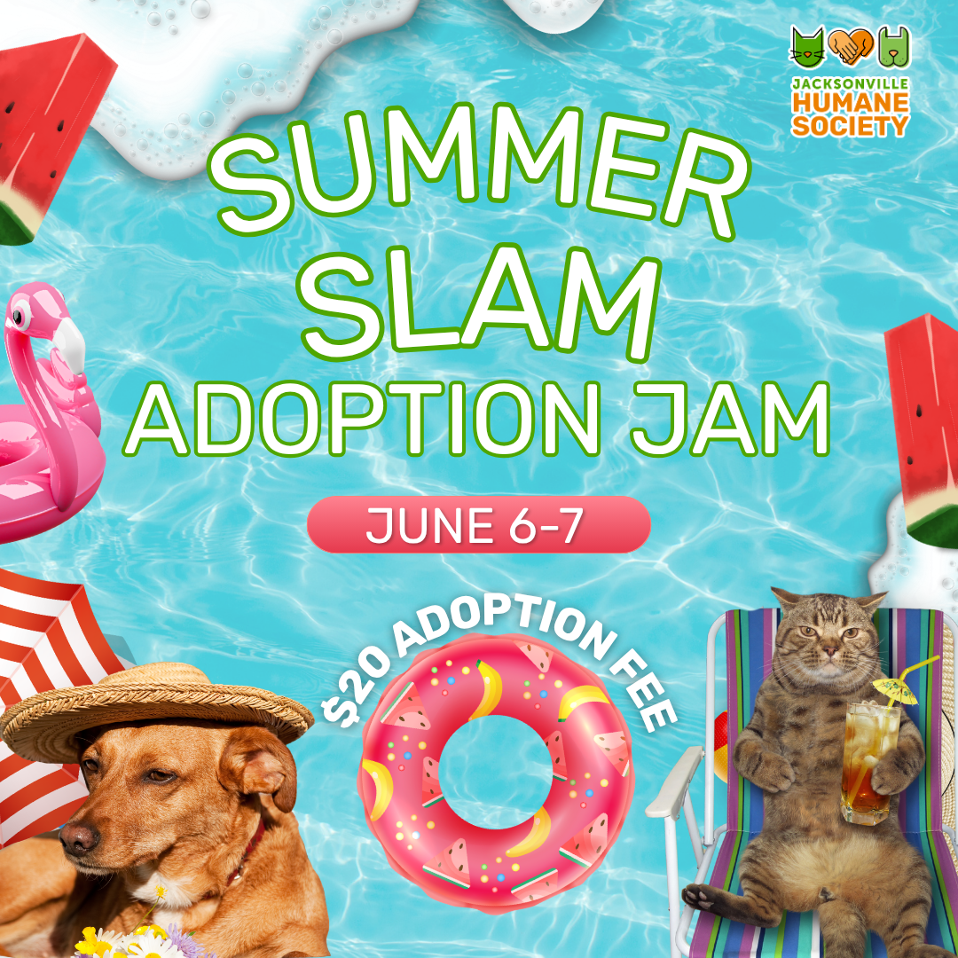 Graphic promoting the Jacksonville Humane Society's "Summer Slam Adoption Jam" adoption event. The background resembles a bright blue swimming pool with summer-themed elements including watermelon slices, pool floats, beach umbrellas, and foam bubbles. Large text reads "Summer Slam Adoption Jam" with the dates "June 6-7." A pink pool float in the center highlights "$20 Adoption Fee." In the bottom left corner, a brown dog wearing a straw sun hat relaxes beside a beach umbrella. In the bottom right corner, a tabby cat lounges in a striped beach chair while holding a tropical drink. The Jacksonville Humane Society logo appears in the top right corner.