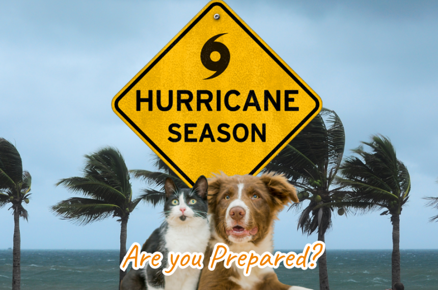 Hurricane Season Blog Post Hurricane Season Blog Post