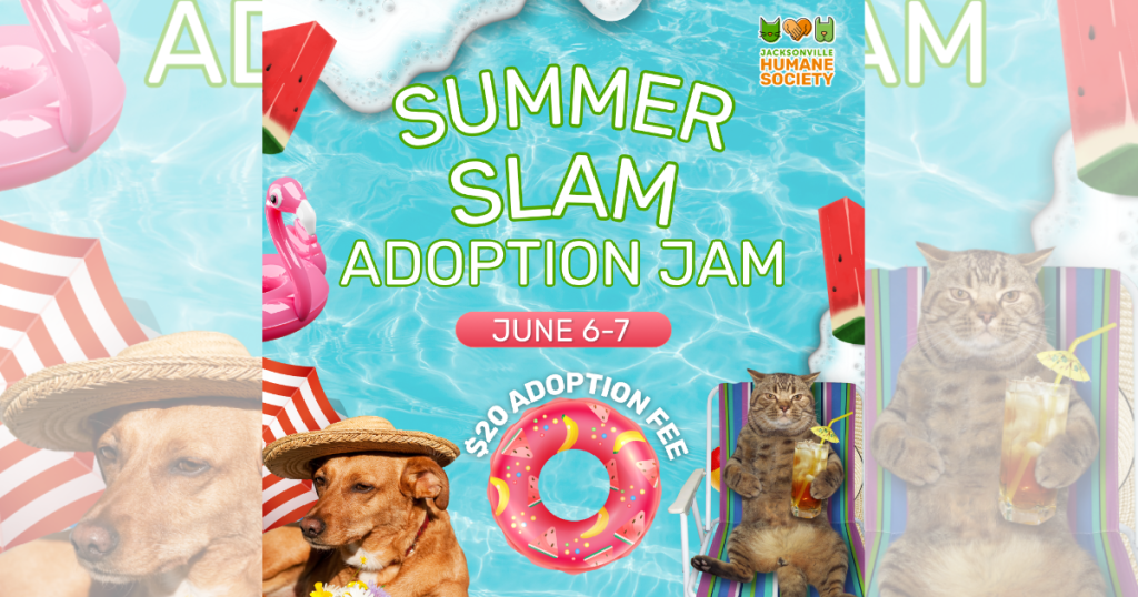 Graphic promoting the Jacksonville Humane Society's 