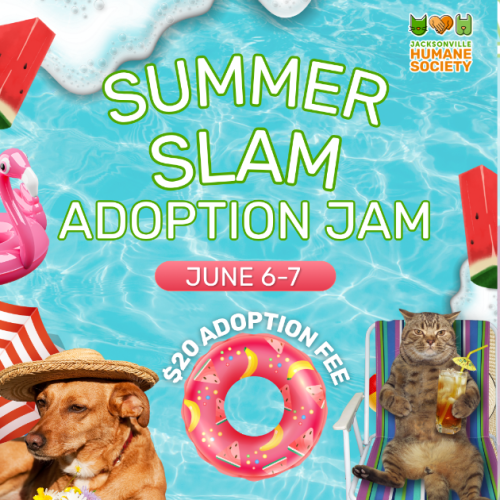 Graphic promoting the Jacksonville Humane Society's "Summer Slam Adoption Jam" adoption event. The background resembles a bright blue swimming pool with summer-themed elements including watermelon slices, pool floats, beach umbrellas, and foam bubbles. Large text reads "Summer Slam Adoption Jam" with the dates "June 6-7." A pink pool float in the center highlights "$20 Adoption Fee." In the bottom left corner, a brown dog wearing a straw sun hat relaxes beside a beach umbrella. In the bottom right corner, a tabby cat lounges in a striped beach chair while holding a tropical drink. The Jacksonville Humane Society logo appears in the top right corner.