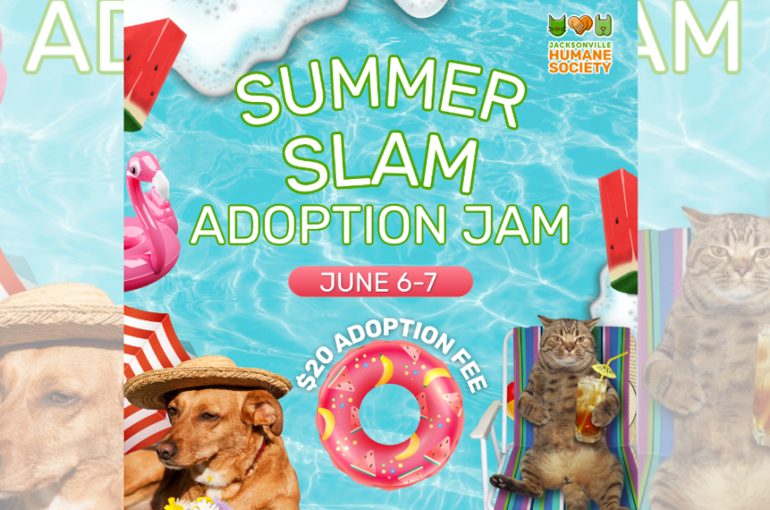 Summer Slam Blog Post Graphic promoting the Jacksonville Humane Society's "Summer Slam Adoption Jam" adoption event. The background resembles a bright blue swimming pool with summer-themed elements including watermelon slices, pool floats, beach umbrellas, and foam bubbles. Large text reads "Summer Slam Adoption Jam" with the dates "June 6-7." A pink pool float in the center highlights "$20 Adoption Fee." In the bottom left corner, a brown dog wearing a straw sun hat relaxes beside a beach umbrella. In the bottom right corner, a tabby cat lounges in a striped beach chair while holding a tropical drink. The Jacksonville Humane Society logo appears in the top right corner.