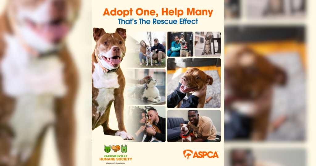 ASPCA Rescue Effect