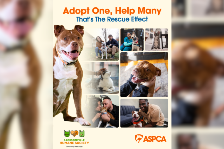 ASPCA Rescue Effect
