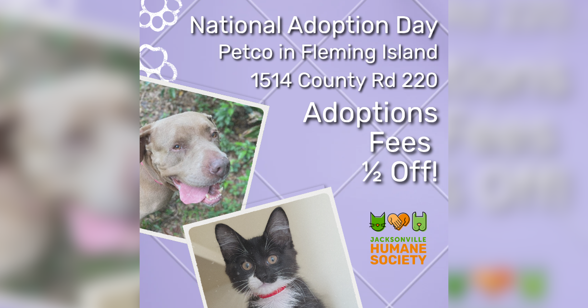 Lavender promotional graphic for Jacksonville Humane Society's National Adoption Day event. Text reads: "National Adoption Day, Petco in Fleming Island, 1514 County Rd. 220. Adoption Fees ½ Off!" Photos of a smiling gray dog and a black-and-white kitten appear on the left, with the JHS logo in the bottom right.