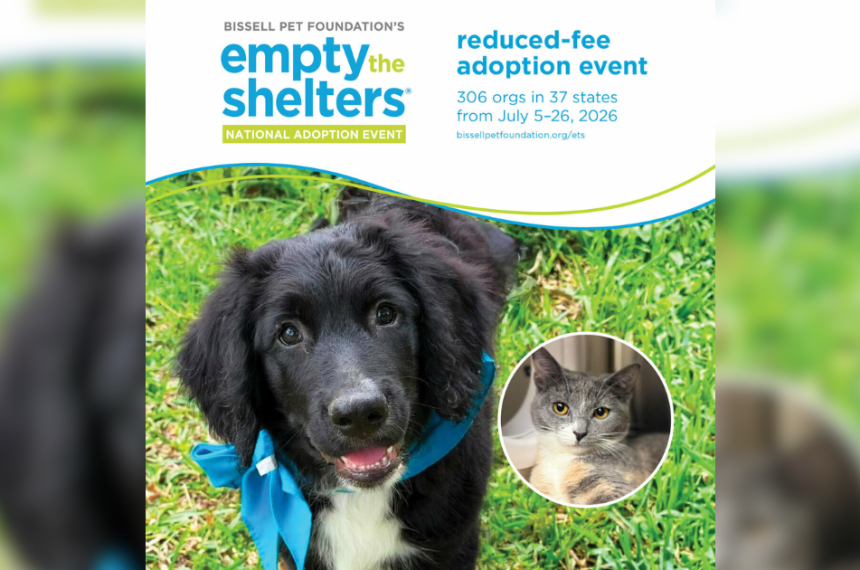 Bissell ETS Summer Graphic promoting BISSELL Pet Foundation's Empty the Shelters National Adoption Event. The top of the graphic features the Empty the Shelters logo and text announcing a reduced-fee adoption event taking place July 5 through July 26, 2026, with 306 participating organizations across 37 states. The bottom half shows a smiling black puppy with a white chest wearing a blue bandana while standing on green grass. An inset circular photo features a gray and cream cat with yellow eyes. The design uses blue and green accents on a white background.