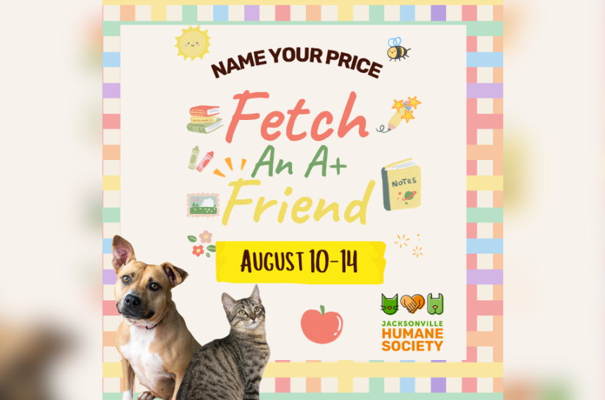 Fetch an A+ Friend to Help You This New School Year