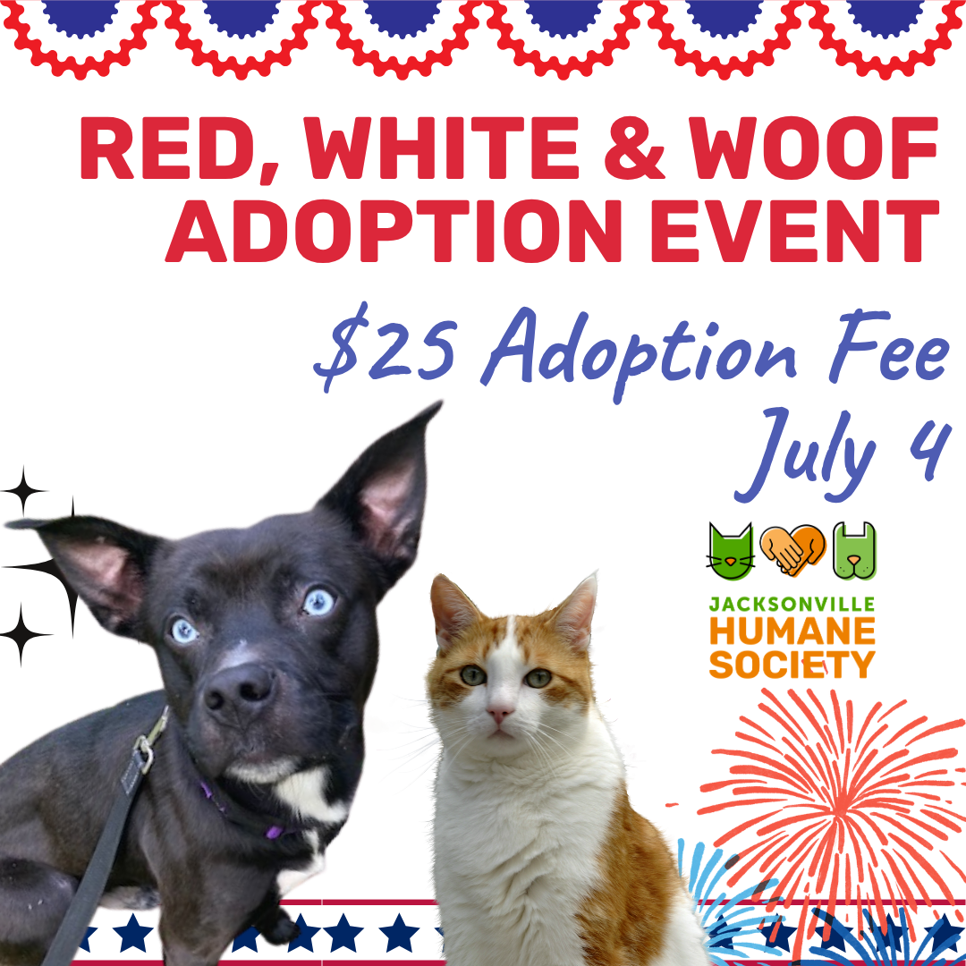 Graphic promoting the Jacksonville Humane Society's "Red, White & Woof Adoption Event." Red, white, and blue patriotic bunting decorates the top of the image. Large red text reads, "Red, White & Woof Adoption Event." Blue script text says, "$25 Adoption Fee July 4." At the bottom are cutout photos of a black dog with bright blue eyes and large upright ears next to an orange-and-white cat. The Jacksonville Humane Society logo appears to the right above illustrated red and blue fireworks, with a red, white, and blue star border along the bottom. The background is white with small decorative sparkles.