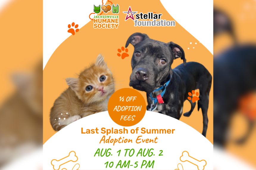 Graphic promoting the Jacksonville Humane Society's "Last Splash of Summer" Adoption Event, sponsored by the Stellar Foundation. The design features an orange-and-white background with paw prints and bone illustrations. A ginger kitten with blue eyes appears on the left, and a black dog wearing a blue collar appears on the right. A large orange circle in the center reads, "½ OFF ADOPTION FEES." Below, the text reads: "Last Splash of Summer Adoption Event. Aug. 1 to Aug. 2. 10 AM-5 PM." The Jacksonville Humane Society and Stellar Foundation logos are displayed at the top.
