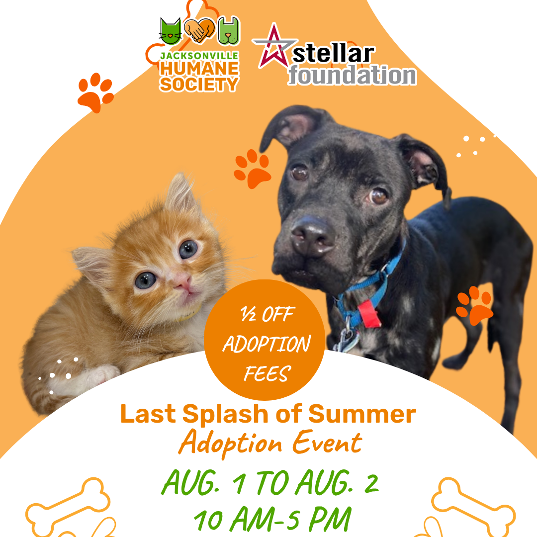 Graphic promoting the Jacksonville Humane Society's "Last Splash of Summer" Adoption Event, sponsored by the Stellar Foundation. The design features an orange-and-white background with paw prints and bone illustrations. A ginger kitten with blue eyes appears on the left, and a black dog wearing a blue collar appears on the right. A large orange circle in the center reads, "½ OFF ADOPTION FEES." Below, the text reads: "Last Splash of Summer Adoption Event. Aug. 1 to Aug. 2. 10 AM-5 PM." The Jacksonville Humane Society and Stellar Foundation logos are displayed at the top.
