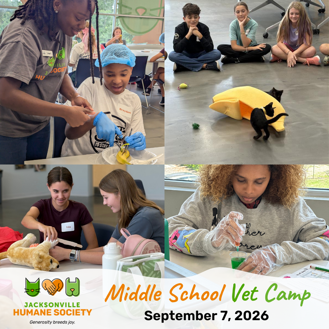 Middle School Vet Camp Square Event Image
