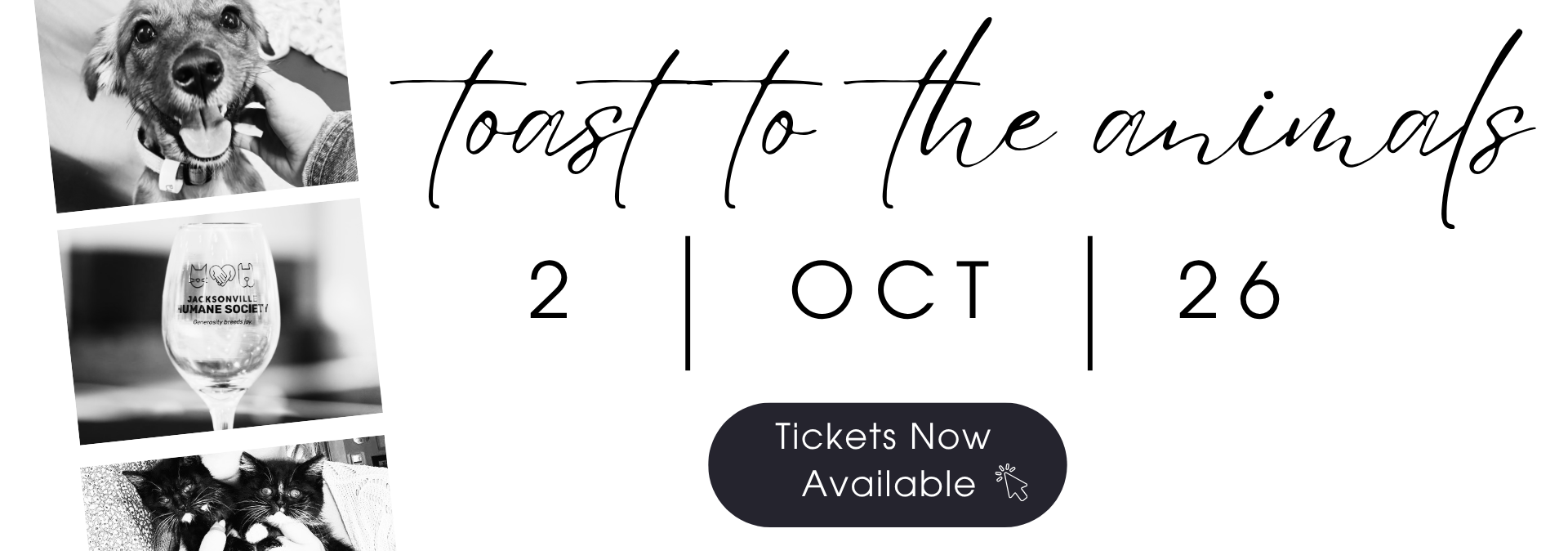 Website banner promoting the Jacksonville Humane Society's 28th Annual Toast to the Animals fundraiser. Black-and-white photos on the left show a smiling puppy, a JHS commemorative wine glass, and two kittens. The text reads, "Toast to the Animals" with the date "October 2, 2026." A dark button below says, "Tickets Now Available."
