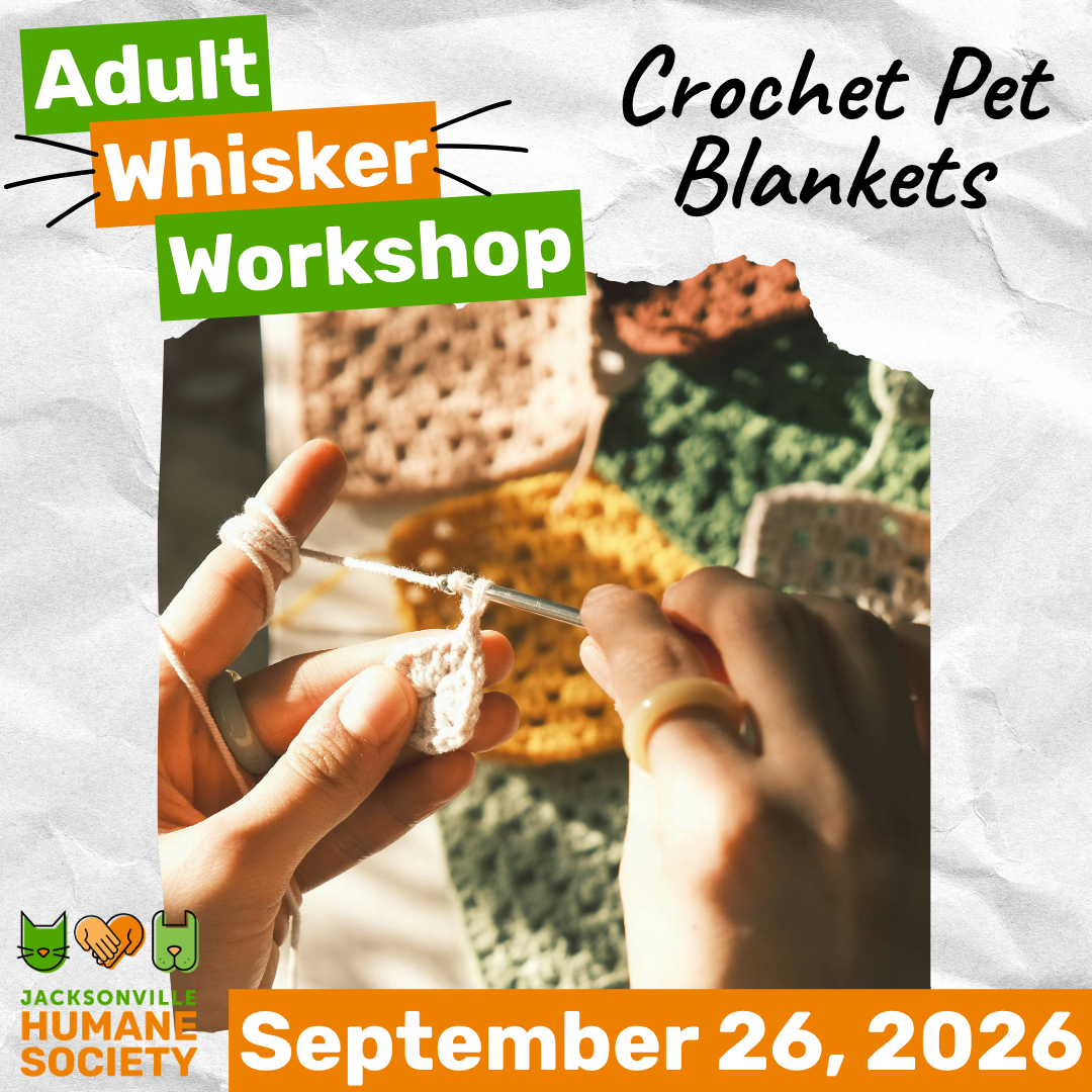 AWW September Crochet Pet Blankets