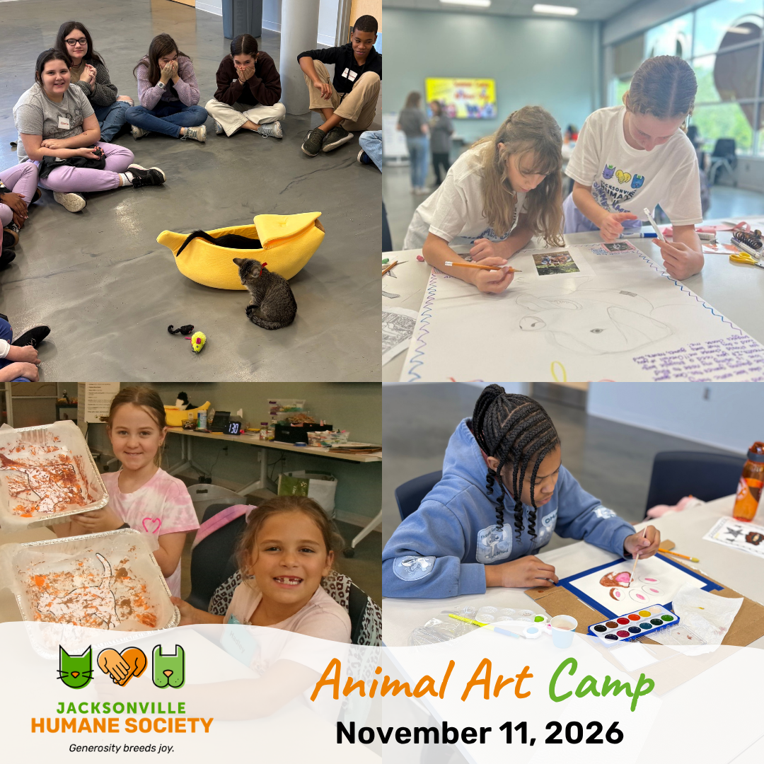 Animal Art Camp
