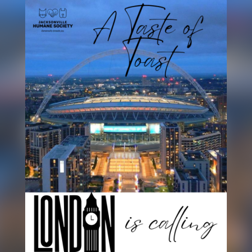 Aerial view of Wembley Stadium at dusk with the Jacksonville Humane Society logo and the text “A Taste of Toast” and “London is calling.”