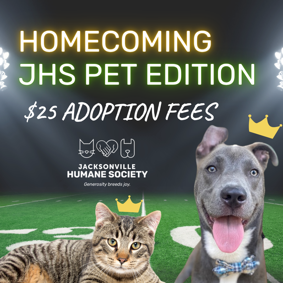 Graphic promoting JHS Homecoming Week with $25 adoption fees, featuring a crowned cat and dog on a football field.