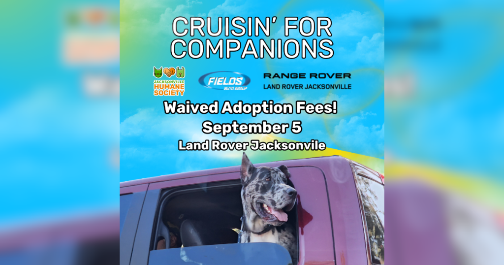 Graphic advertising Cruisin for Companions
