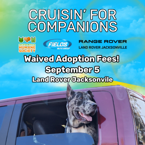 Graphic advertising Cruisin for Companions