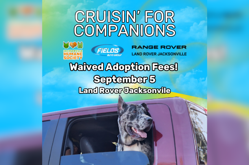 Cruisin for Companions () Graphic advertising Cruisin for Companions