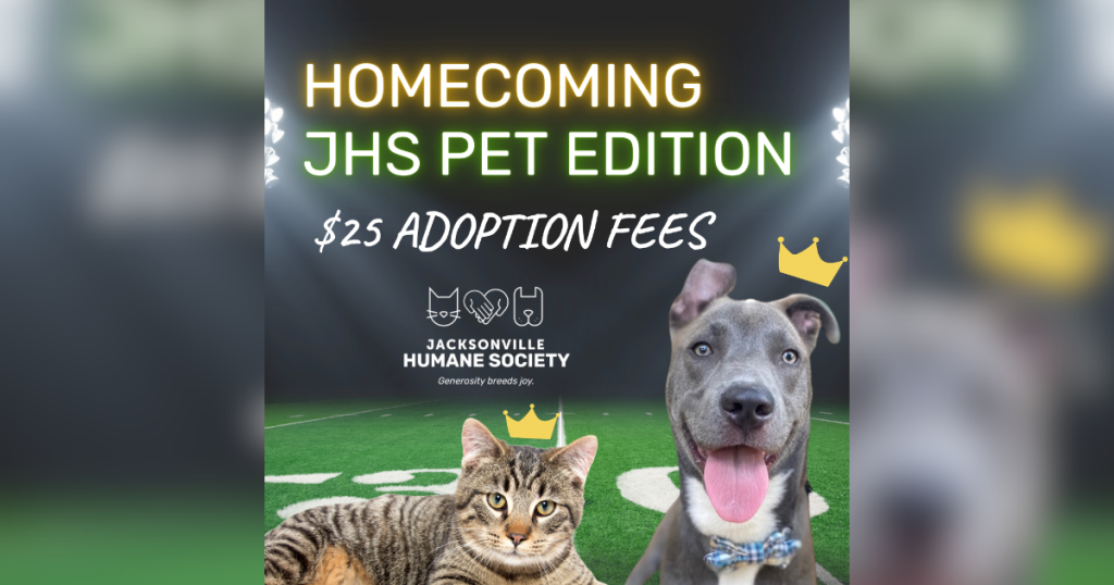 Homecoming JHS Pet Edition graphic promoting $25 adoption fees, featuring a smiling dog and tabby cat wearing crowns on a football field under stadium lights, with the Jacksonville Humane Society logo.