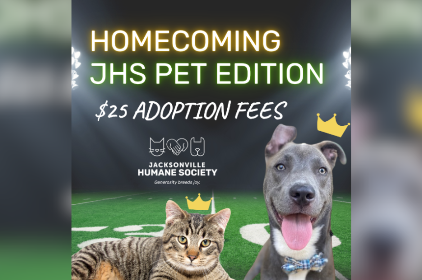 Homecoming JHS Pet Edition graphic promoting $25 adoption fees, featuring a smiling dog and tabby cat wearing crowns on a football field under stadium lights, with the Jacksonville Humane Society logo.
