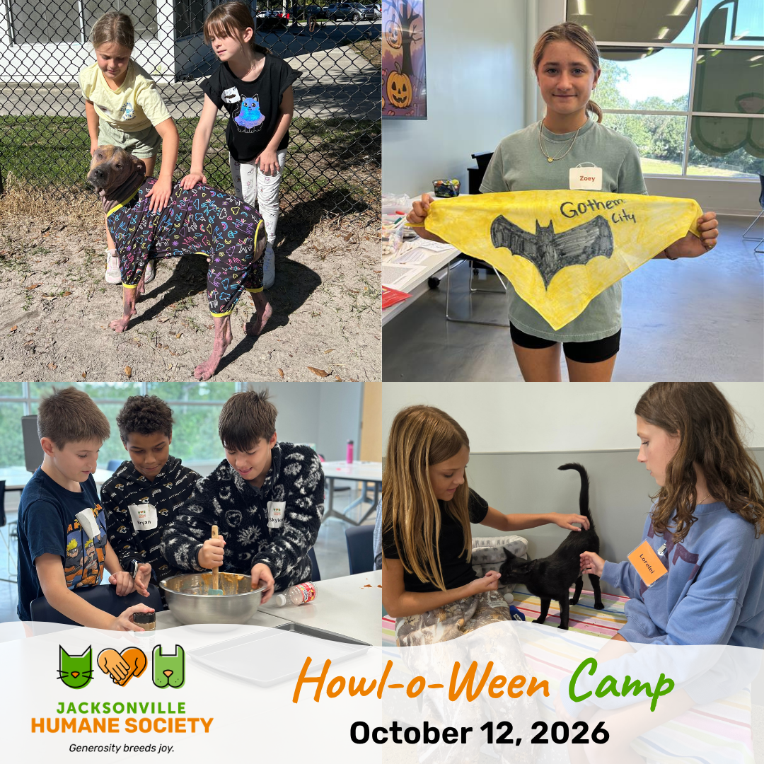 Howl o Ween Camp