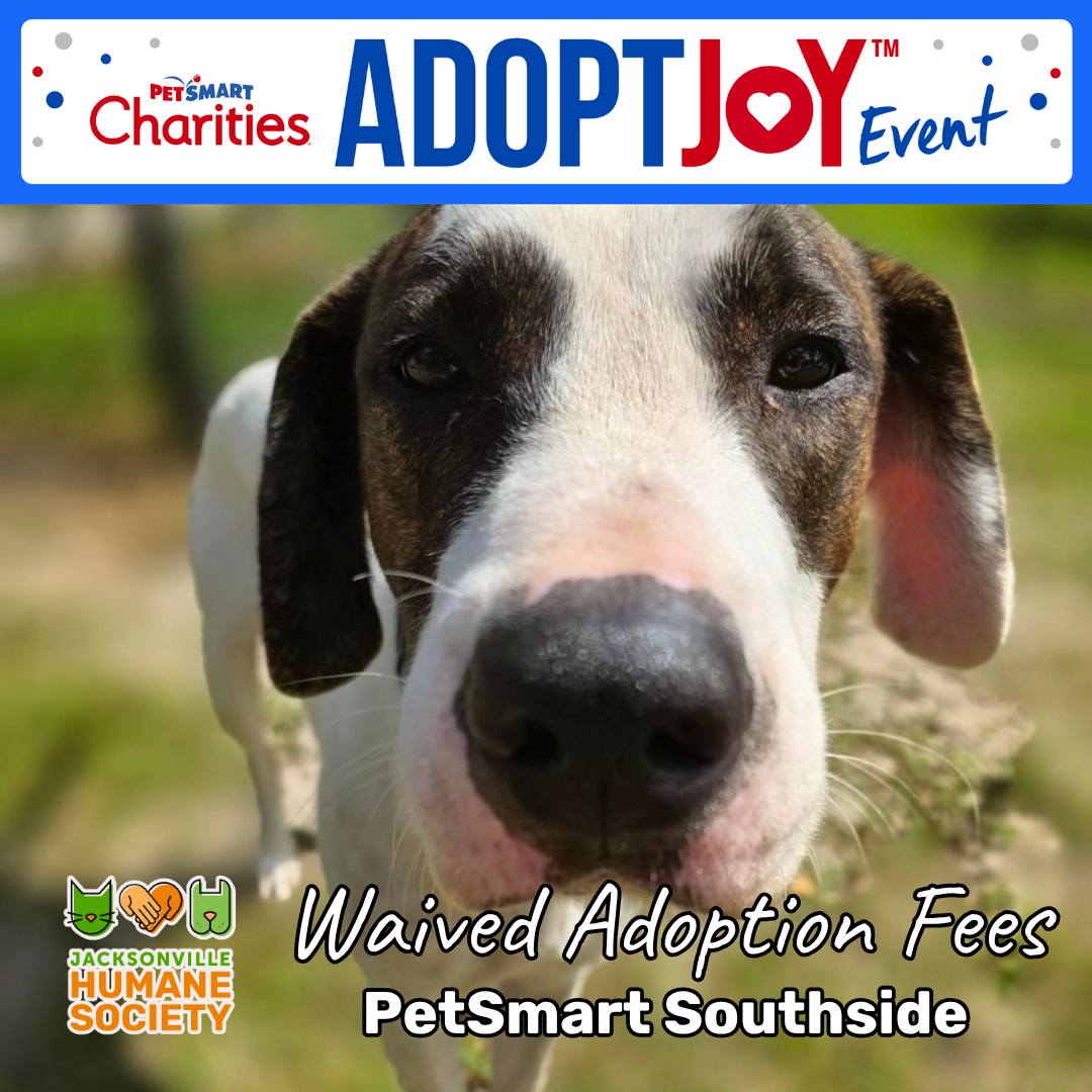 Graphic promoting a PetSmart Charities Adopt Joy event featuring a close-up photo of a black-and-white dog. Text reads, “Waived Adoption Fees” and “PetSmart Southside,” with the Jacksonville Humane Society logo.
