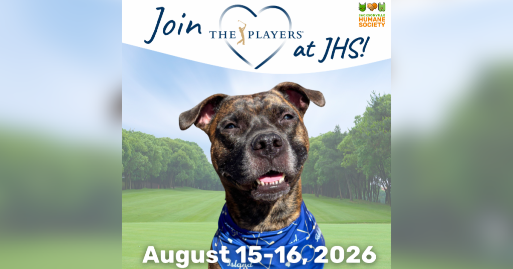 Promotional graphic for an adoption weekend at the Jacksonville Humane Society in partnership with THE PLAYERS Championship. A brindle dog wearing a blue bandana smiles at the camera while sitting in front of a golf course background with green fairways and trees. At the top, the graphic reads, 