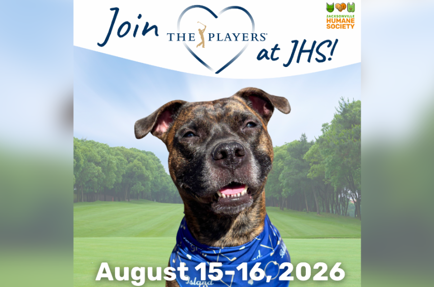 Promotional graphic for an adoption weekend at the Jacksonville Humane Society in partnership with THE PLAYERS Championship. A brindle dog wearing a blue bandana smiles at the camera while sitting in front of a golf course background with green fairways and trees. At the top, the graphic reads, "Join THE PLAYERS at JHS!" alongside the Jacksonville Humane Society logo. At the bottom, large white text reads, "August 15–16, 2026."