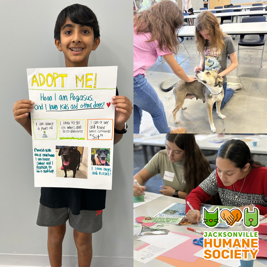 MS Service Day Promote a Pet Website