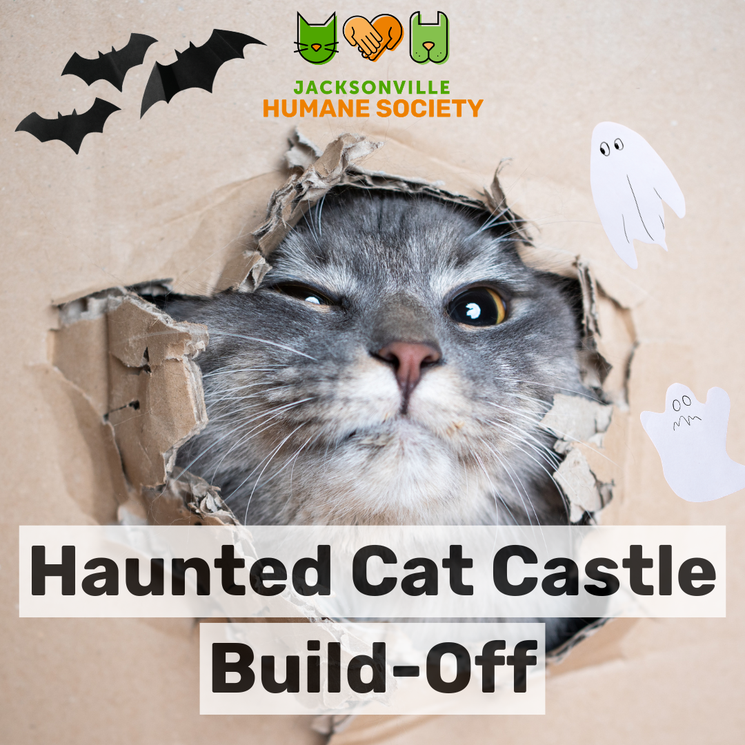 AWW Haunted Cat Castles Website Event Graphic AWW Haunted Cat Castles Website Event Graphic