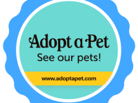 AdoptaPet See Our Pets x Blue badge that says "adopt a pet" and under it it displays "see our pets!"