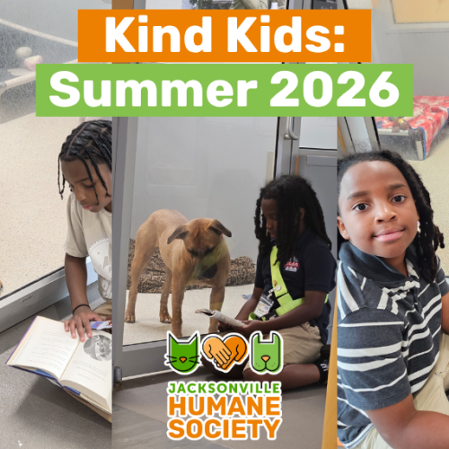 Kind Kid Banner Summer Nehemiah
