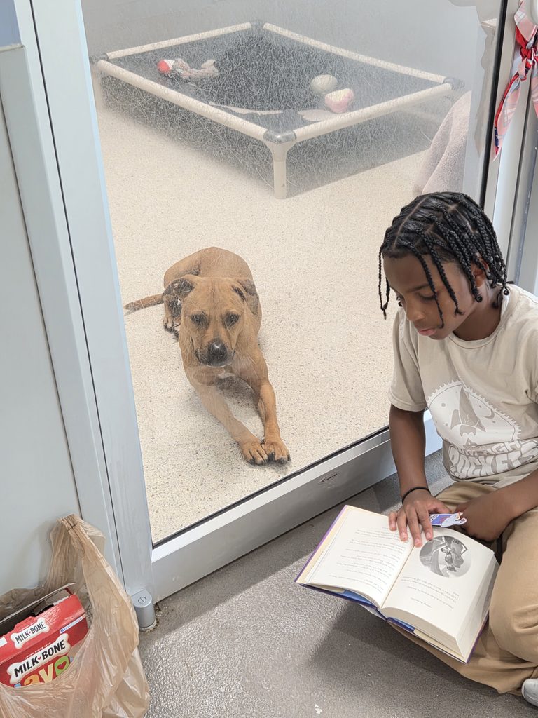 Pictured: Nehemiah sitting down in front of the suite kennel reading aloud to Tres, a 4 year old pup laying down to listen.