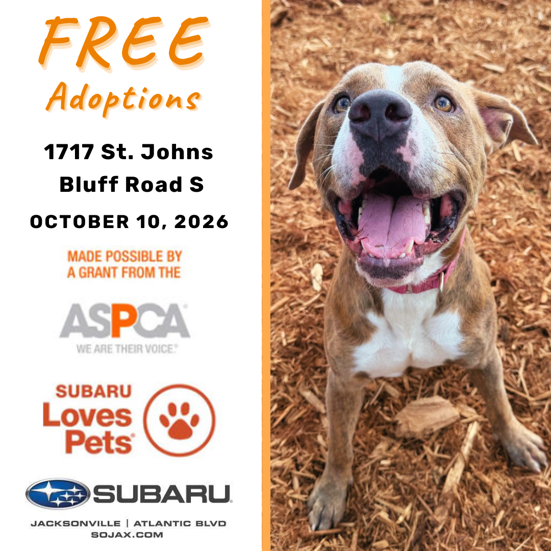 Free pet adoption event on October 10, 2026, at 1717 St. Johns Bluff Road S, featuring a brown-and-white dog looking up with its mouth open. Made possible by an ASPCA grant, with Subaru Loves Pets and Subaru of Jacksonville logos.