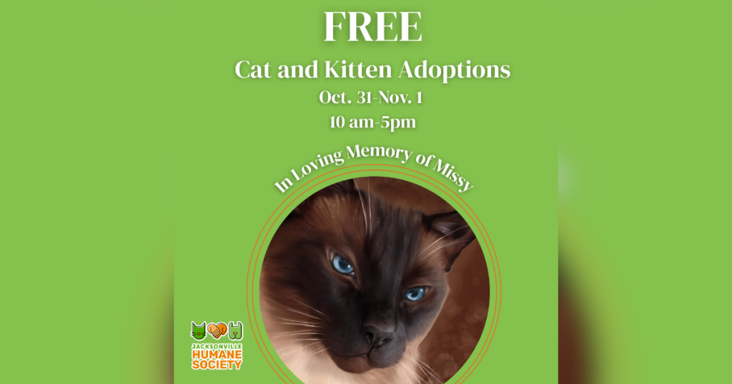 Green Jacksonville Humane Society flyer announcing free cat and kitten adoptions October 31–November 1, from 10 a.m. to 5 p.m., in loving memory of Missy. A large circular portrait shows Missy, a blue-eyed cat with a dark brown face and cream-colored fur. JHS logo at bottom left.