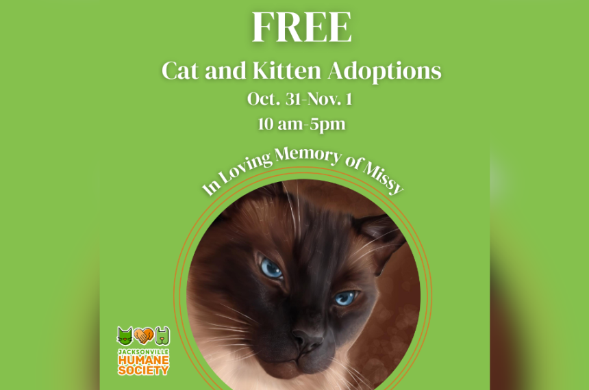 Missy Blog Post Green Jacksonville Humane Society flyer announcing free cat and kitten adoptions October 31–November 1, from 10 a.m. to 5 p.m., in loving memory of Missy. A large circular portrait shows Missy, a blue-eyed cat with a dark brown face and cream-colored fur. JHS logo at bottom left.