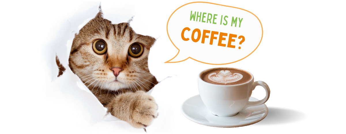 Coffee with Cats image