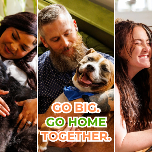 Three photos show people with large dogs: a woman hugs a black dog, a man holds a smiling tan-and-white dog, and a dog licks a woman’s cheek. Text reads “Go Big. Go Home Together.” The Jacksonville Humane Society logo appears in the upper right.