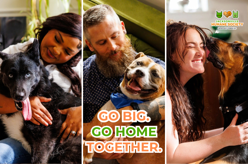 Three photos show people with large dogs: a woman hugs a black dog, a man holds a smiling tan-and-white dog, and a dog licks a woman’s cheek. Text reads “Go Big. Go Home Together.” The Jacksonville Humane Society logo appears in the upper right.