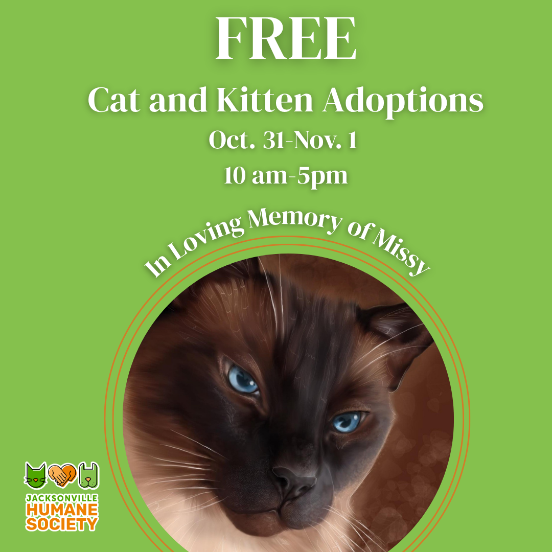 Green Jacksonville Humane Society flyer announcing free cat and kitten adoptions October 31–November 1, from 10 a.m. to 5 p.m., in loving memory of Missy. A large circular portrait shows Missy, a blue-eyed cat with a dark brown face and cream-colored fur. JHS logo at bottom left.