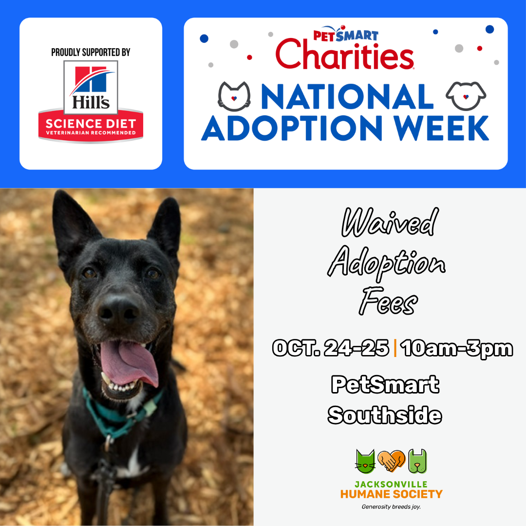 PetSmart Charities National Adoption Week graphic featuring a black dog outdoors. Text announces waived adoption fees for Jacksonville Humane Society pets October 24–25, from 10 a.m. to 3 p.m. at PetSmart Southside. Includes PetSmart Charities, Hill’s Science Diet and Jacksonville Humane Society logos.